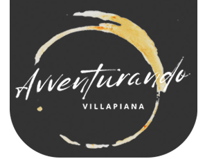 logo_v4